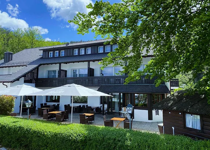 호텔 하우스 암 시 진츠하임